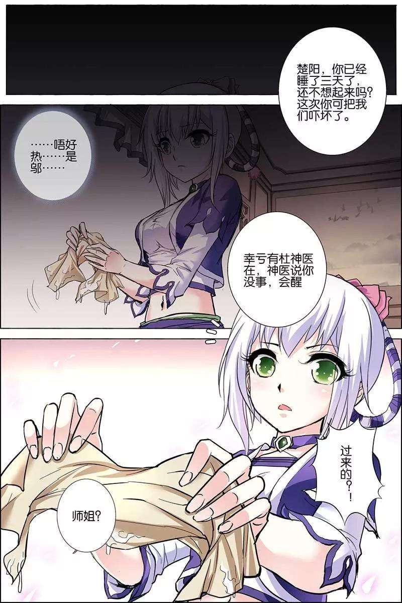 8.jpg