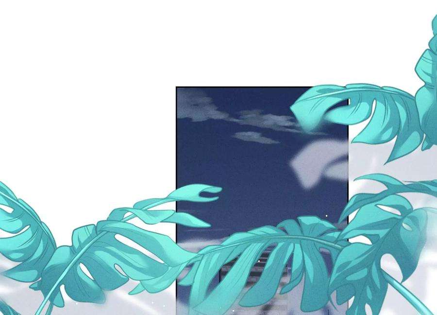 71.jpg