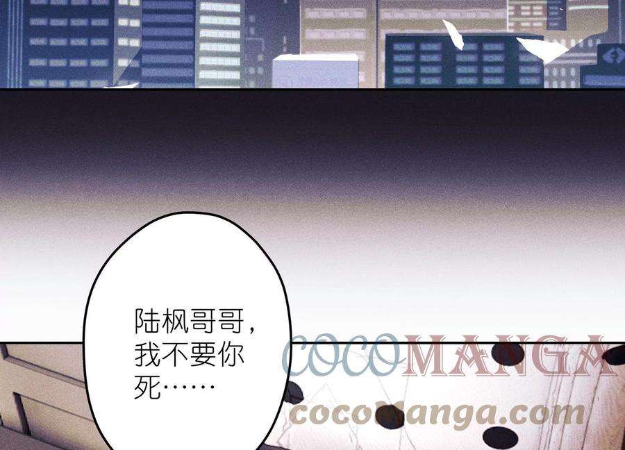 64.jpg