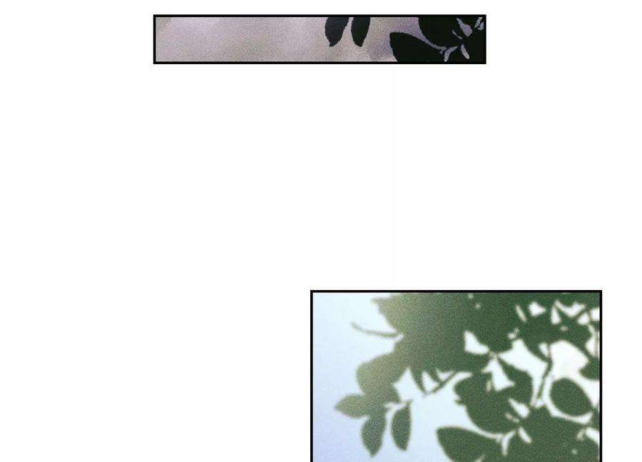 65.jpg