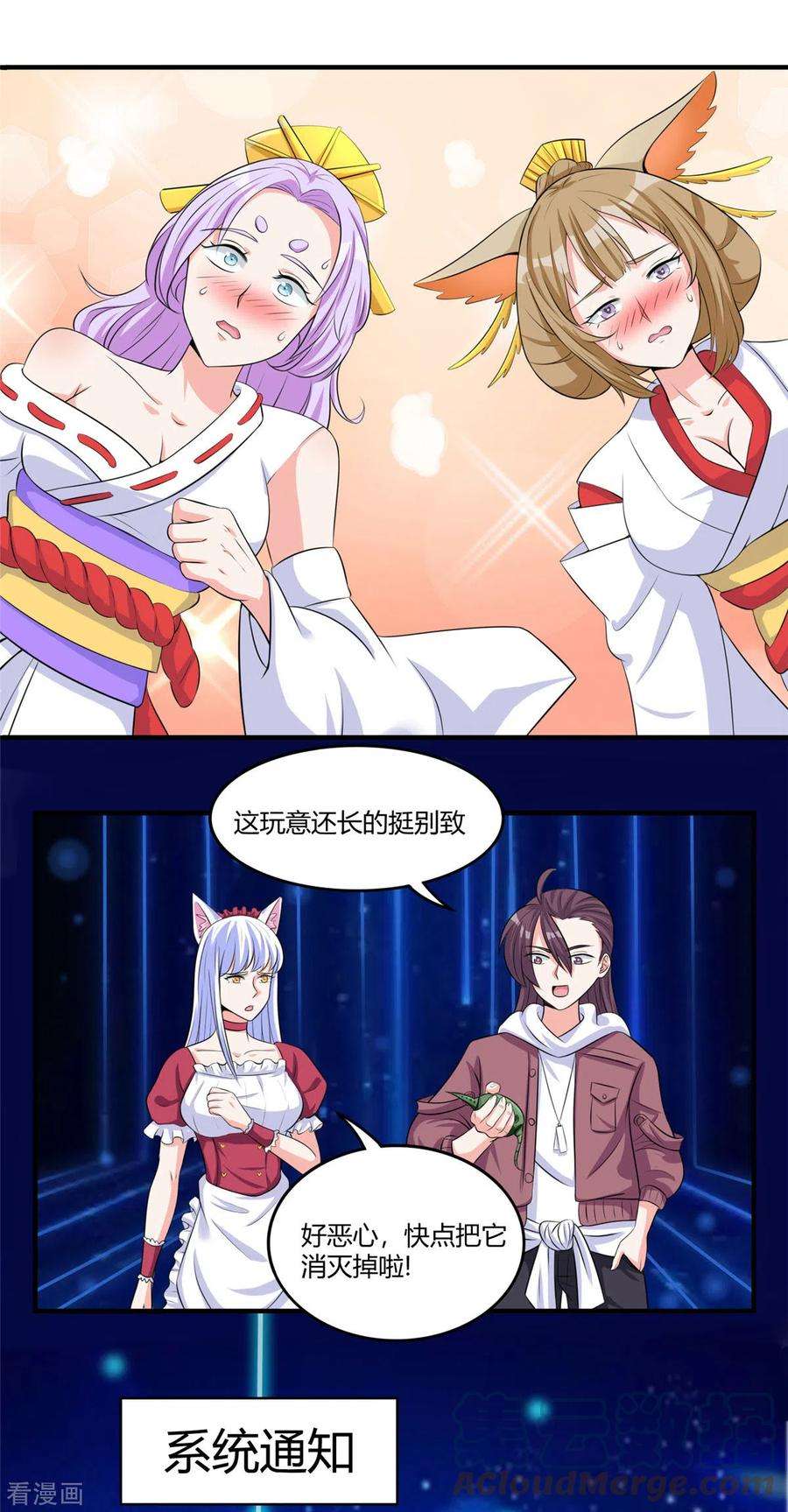 5.jpg