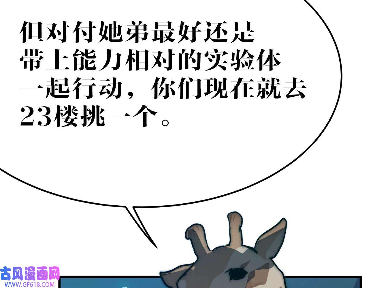 41.jpg