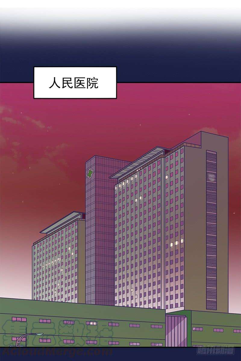 41.jpg