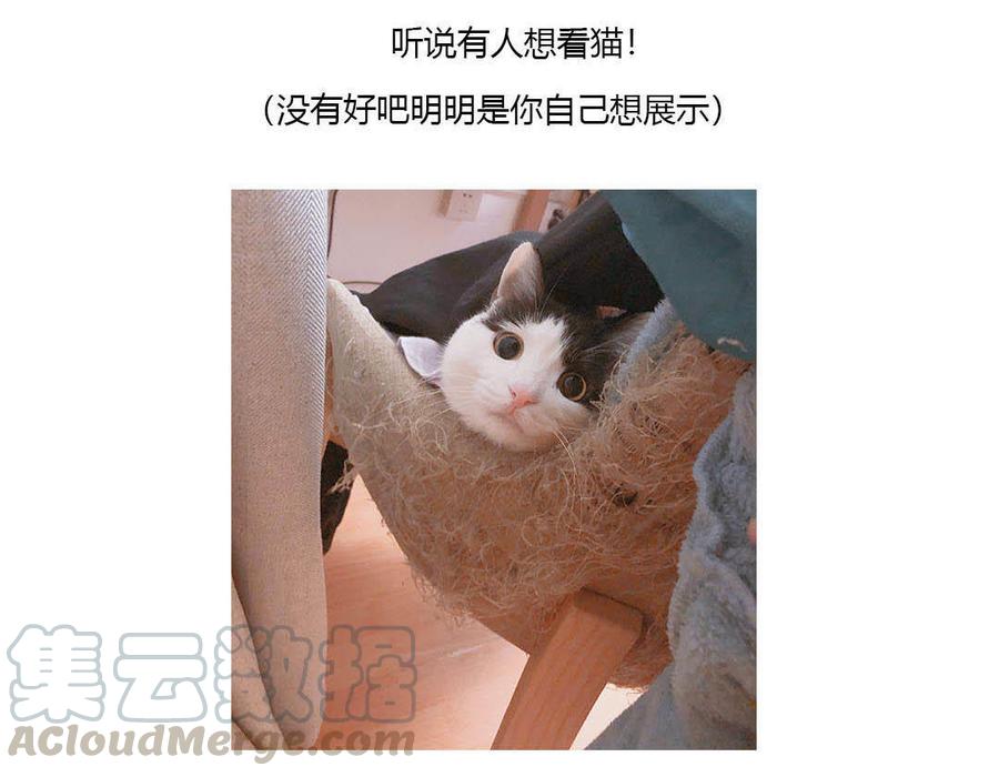 121.jpg