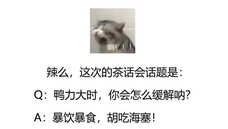 40.jpg