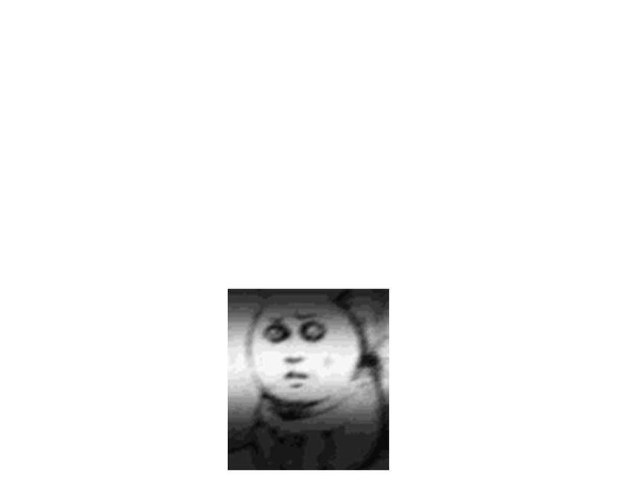44.jpg
