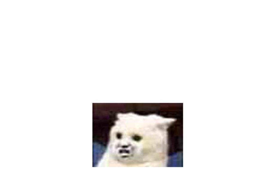 40.jpg