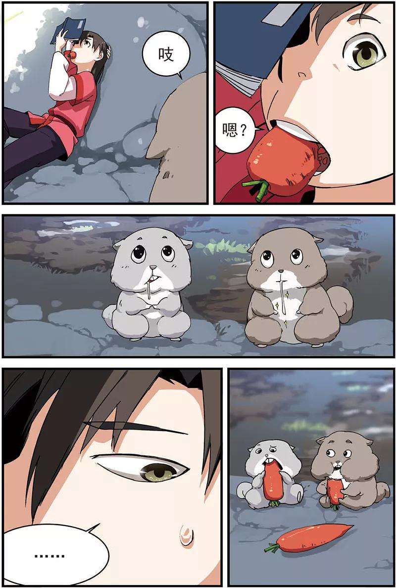 9.jpg