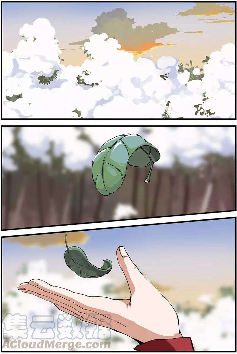 21.jpg