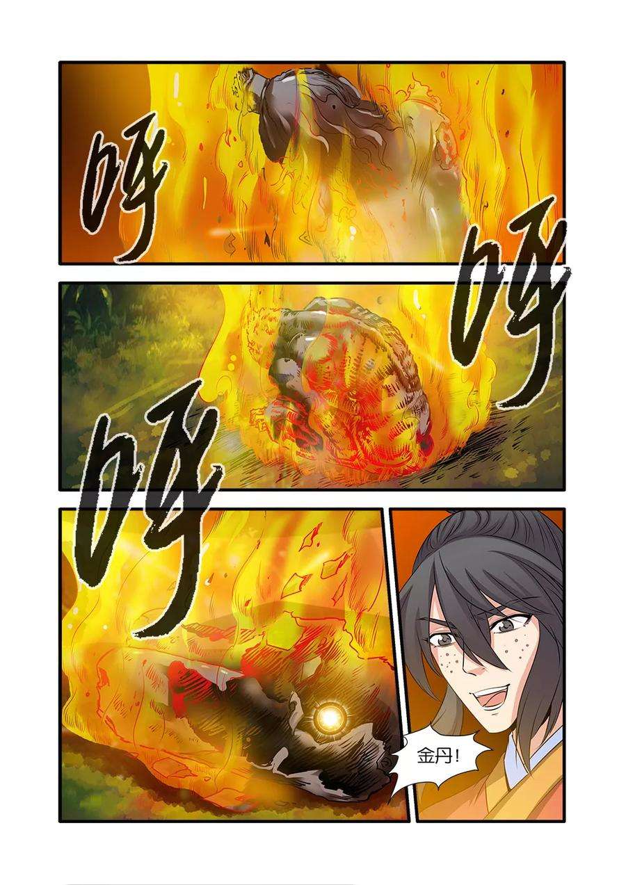 5.jpg