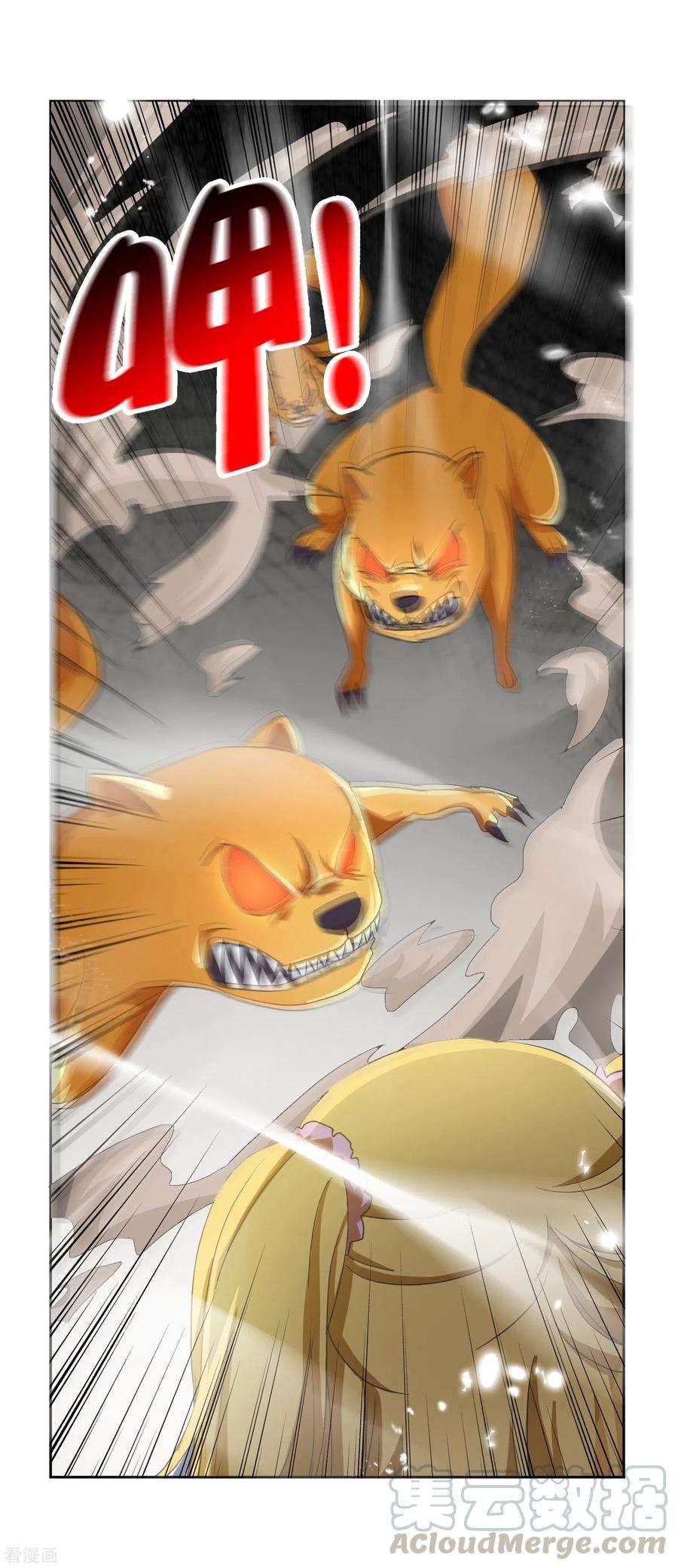 17.jpg