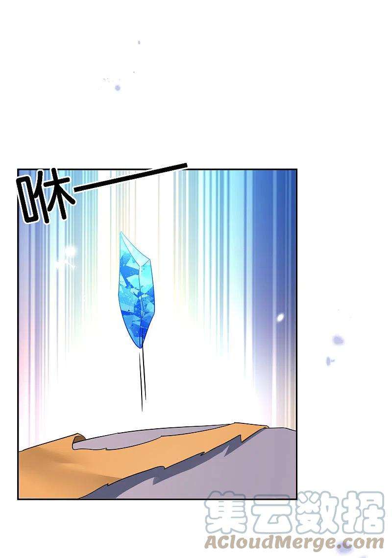 29.jpg