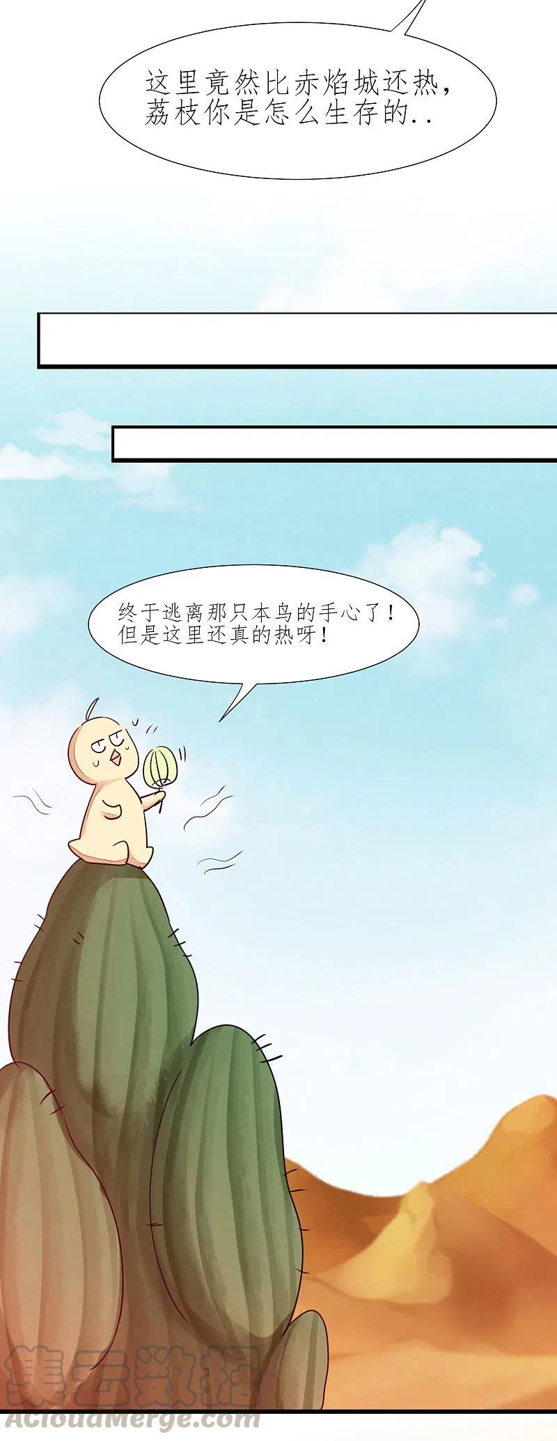13.jpg
