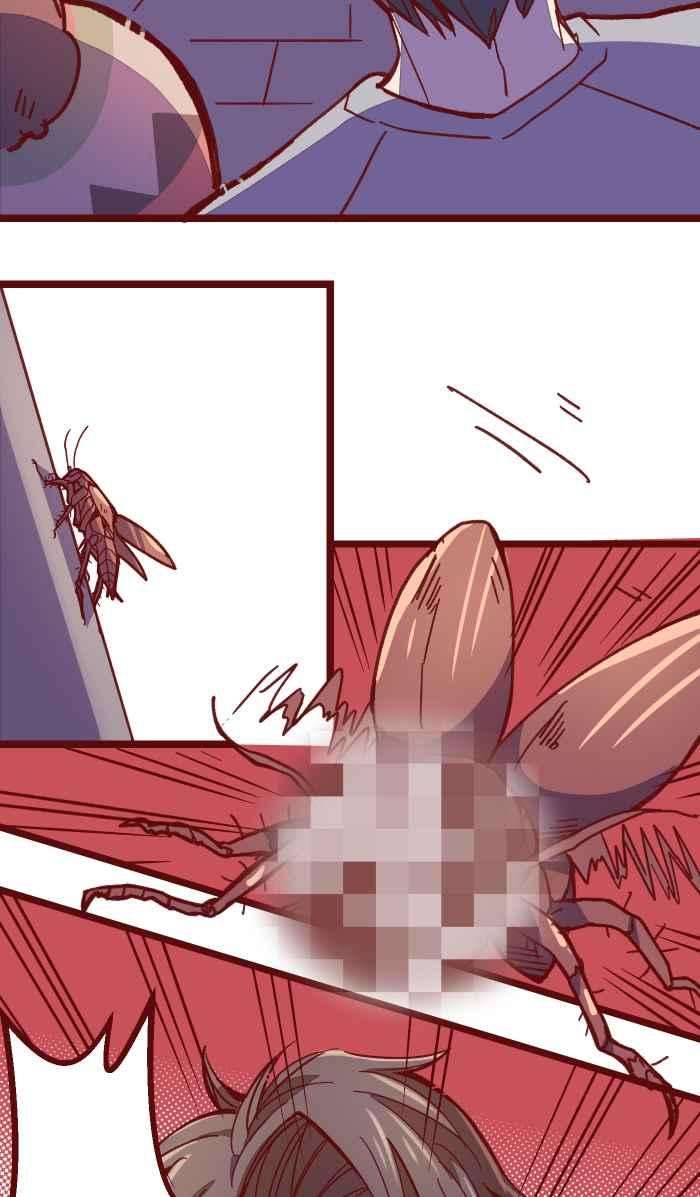 23.jpg