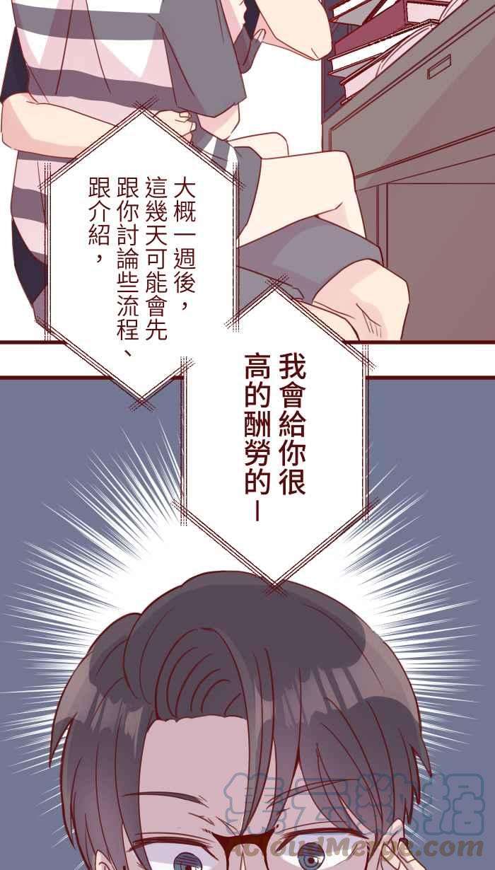 46.jpg