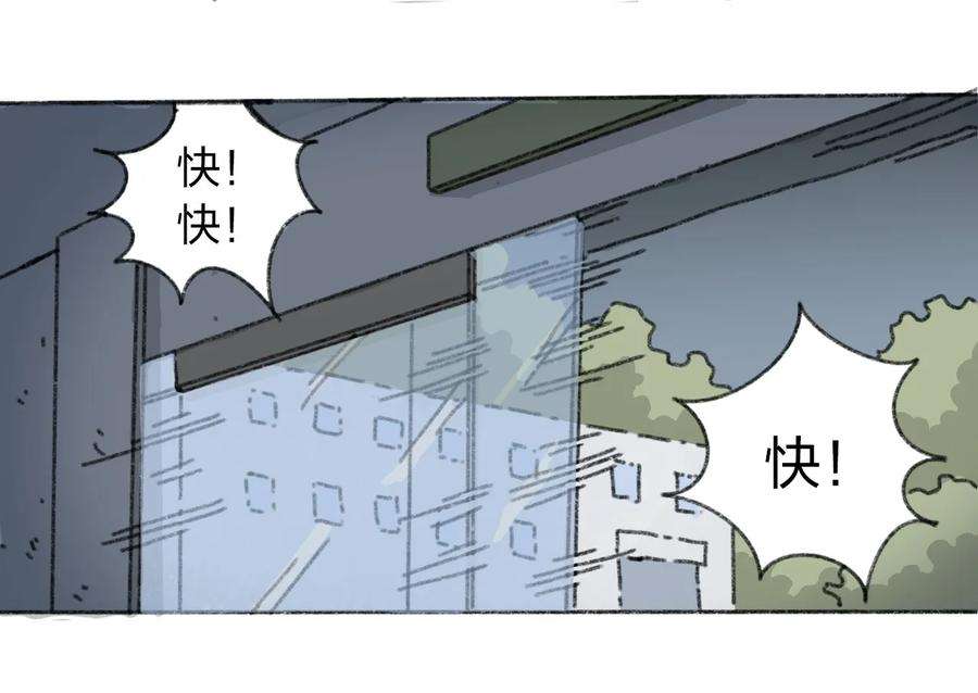 47.jpg