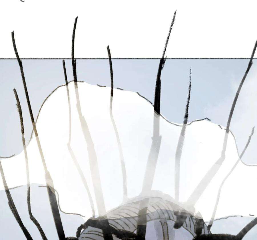 54.jpg