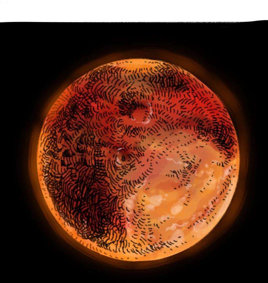 26.jpg