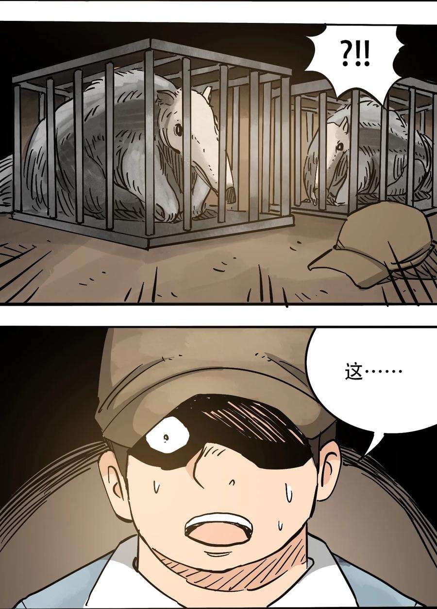 15.jpg