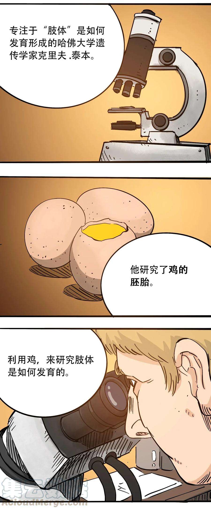 25.jpg