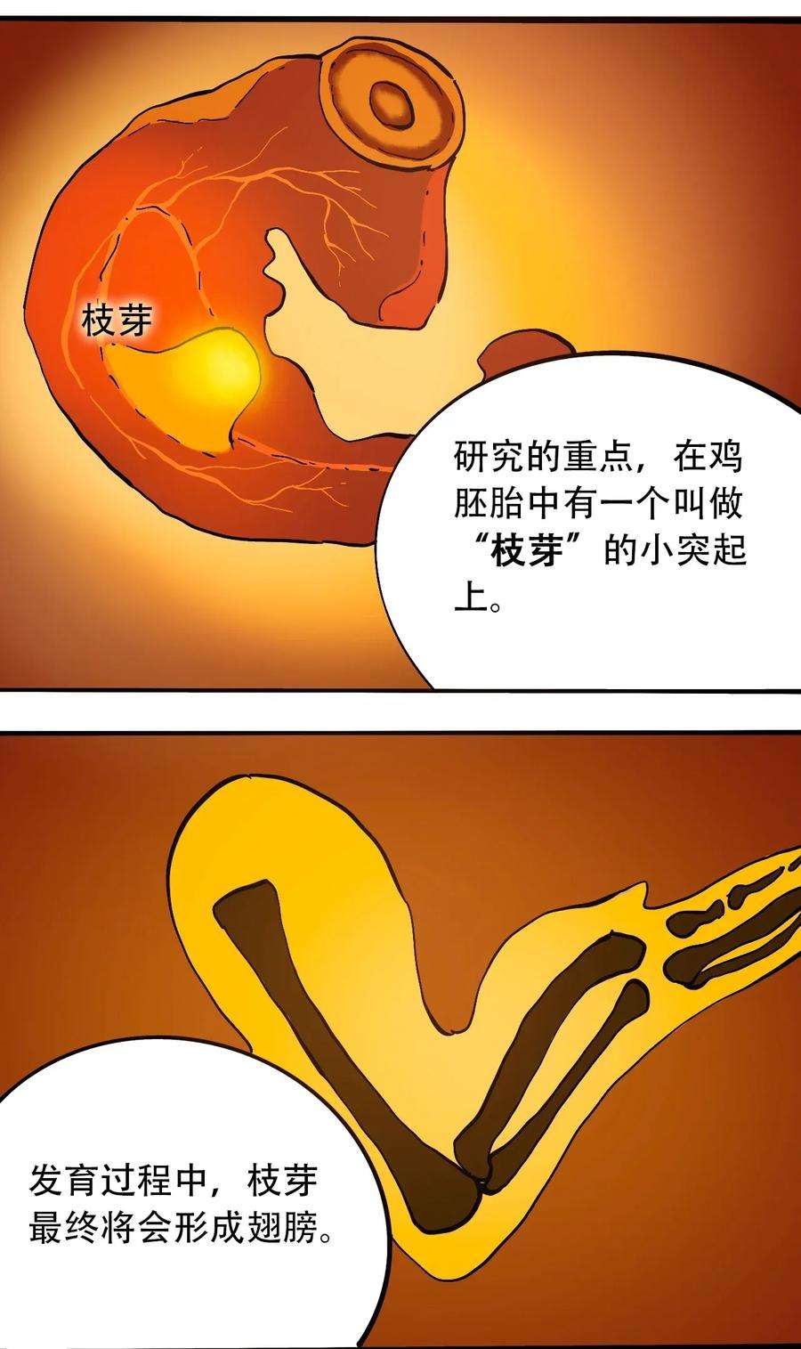 26.jpg