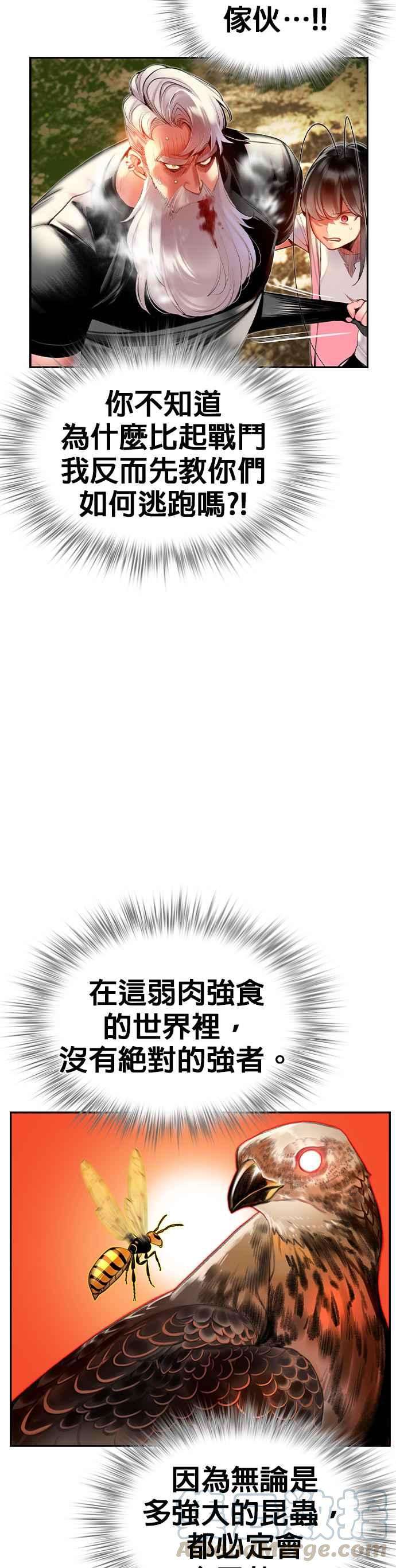 46.jpg