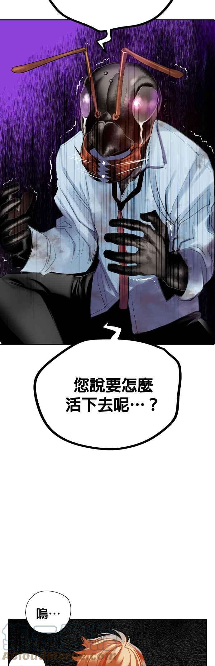 46.jpg