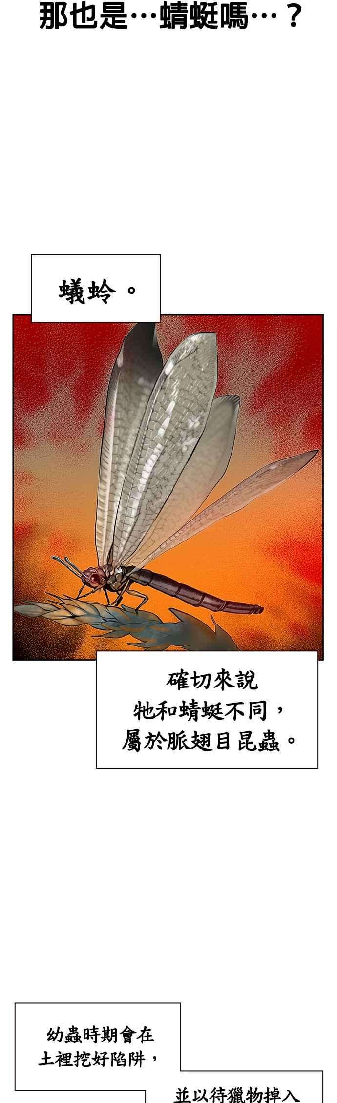 38.jpg