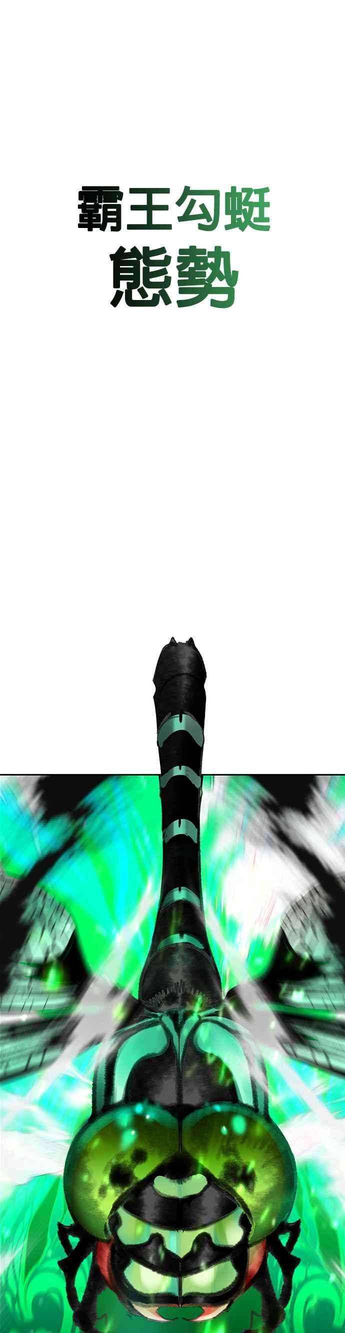 44.jpg