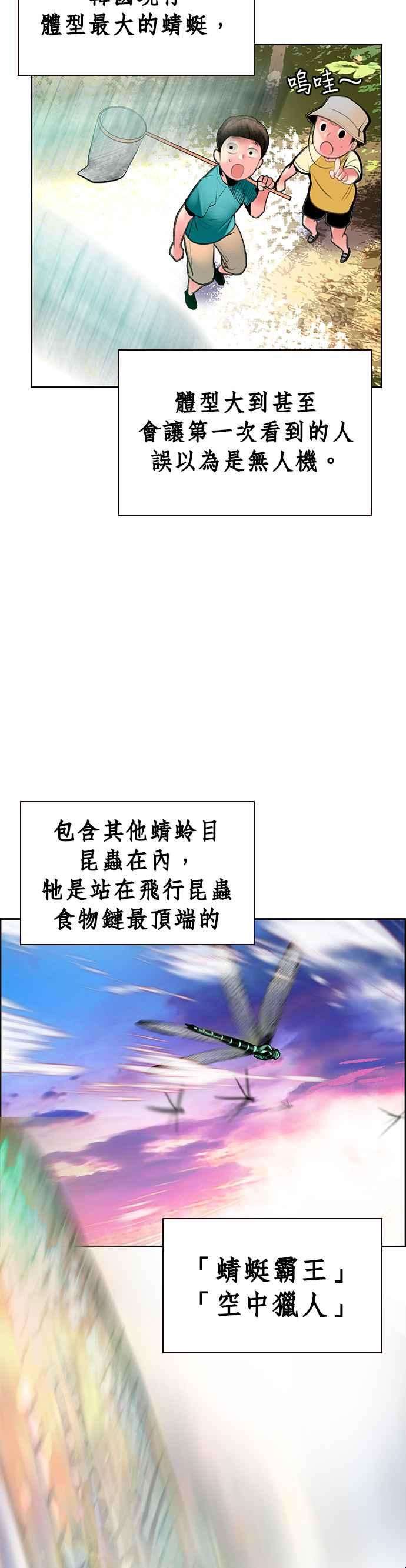 41.jpg