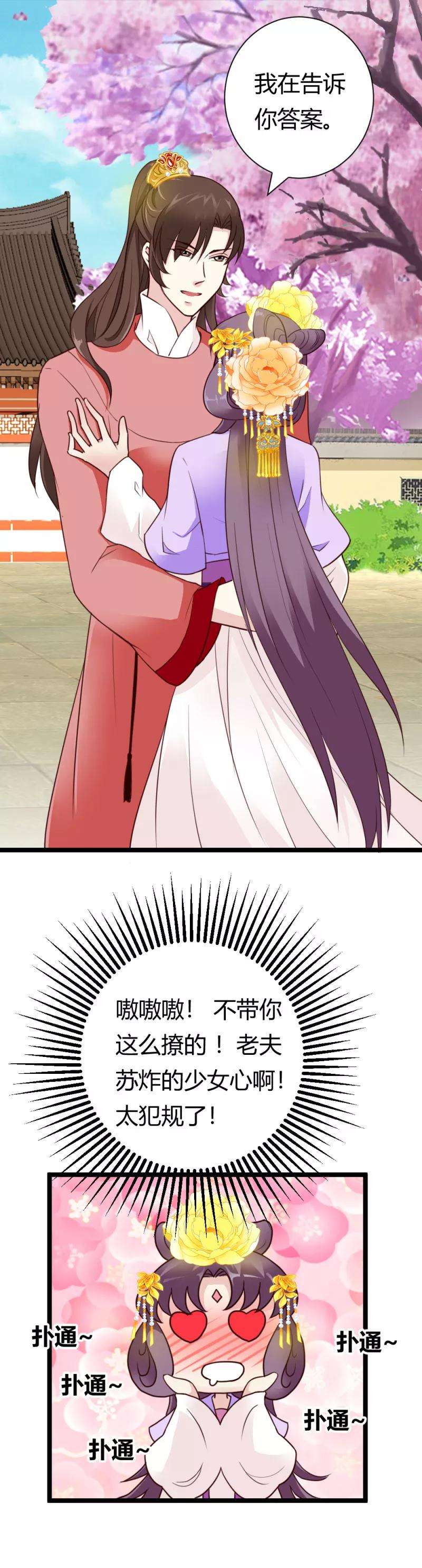 12.jpg