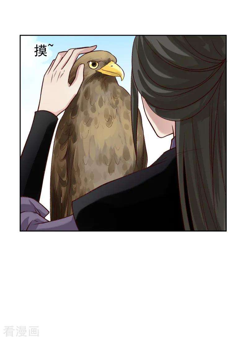 20.jpg