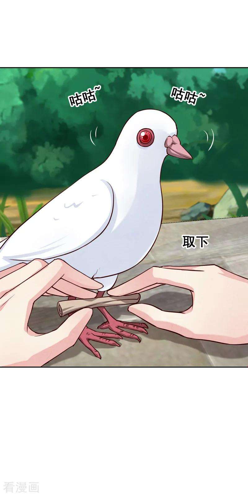 6.jpg