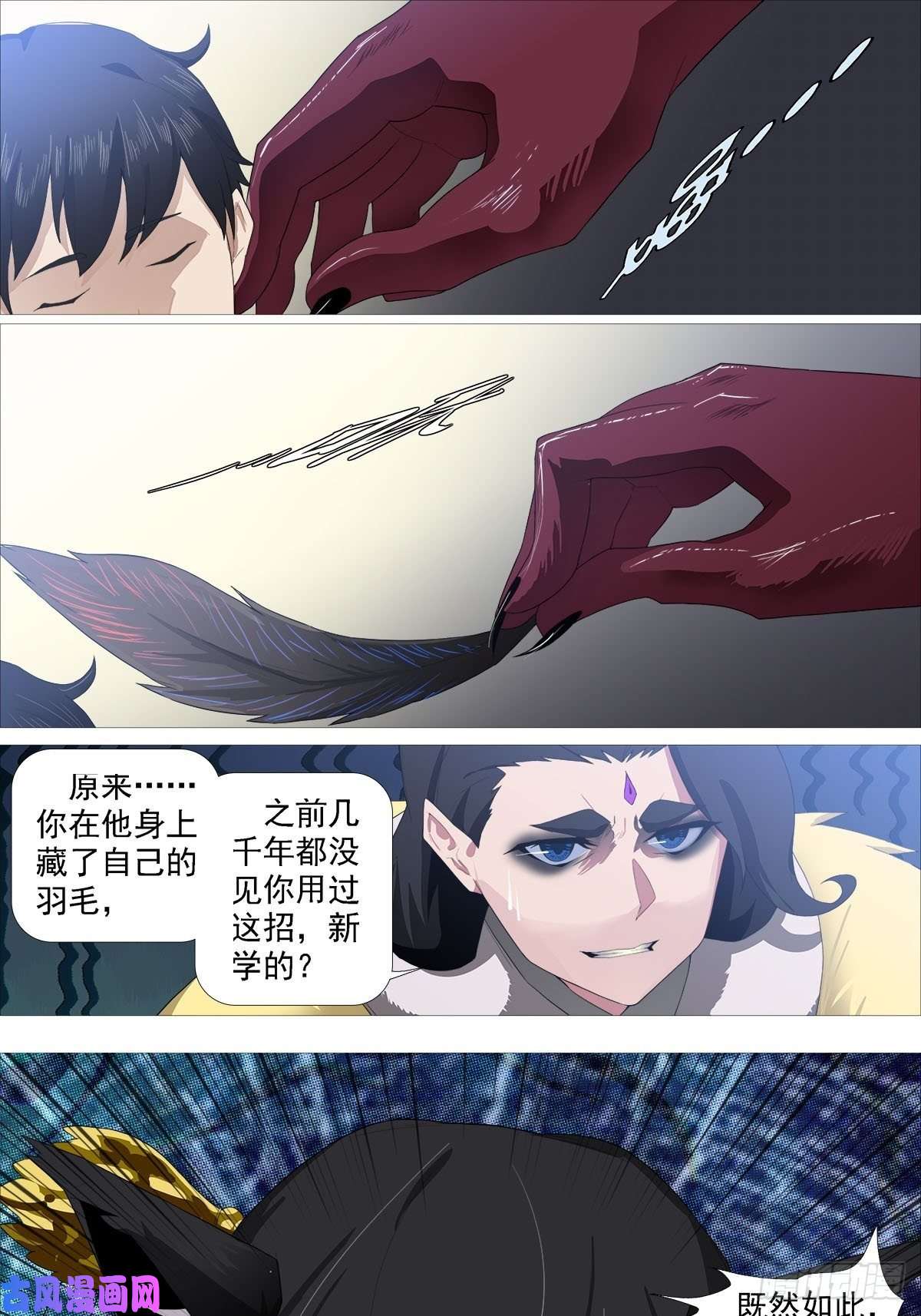 13.jpg