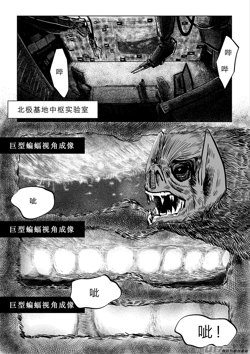 13.jpg