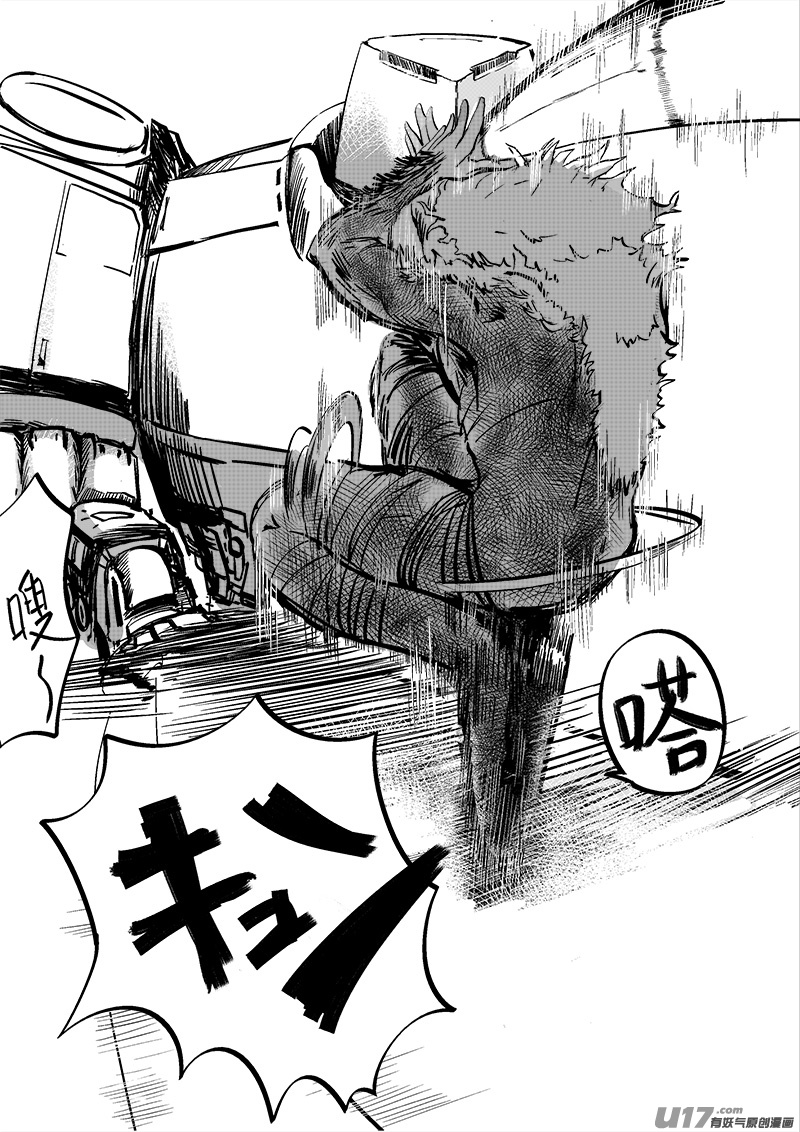 13.jpg