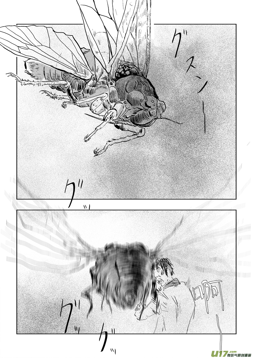 24.jpg
