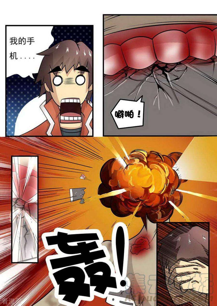 5.jpg