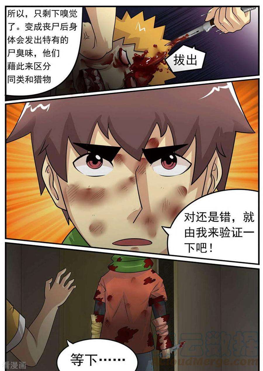 11.jpg