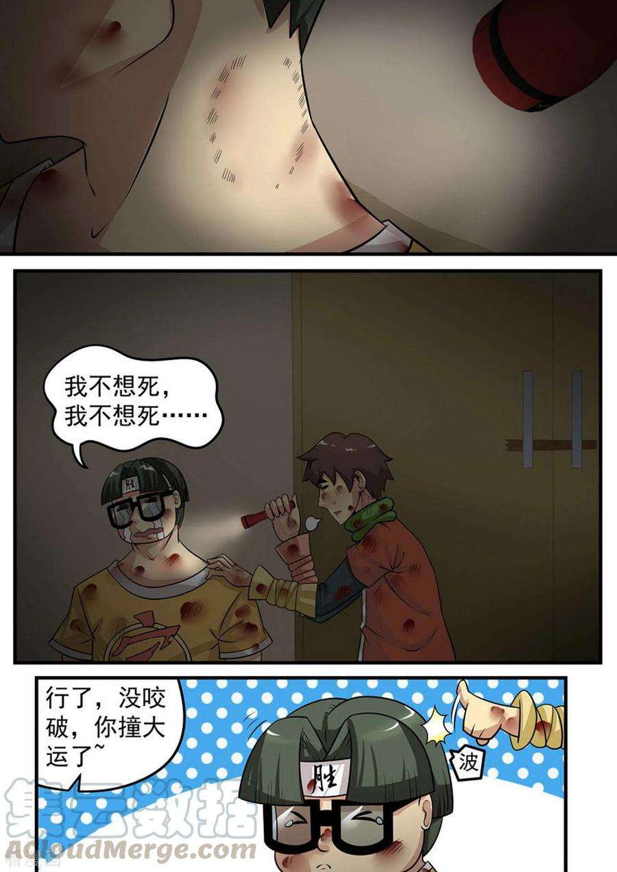 13.jpg