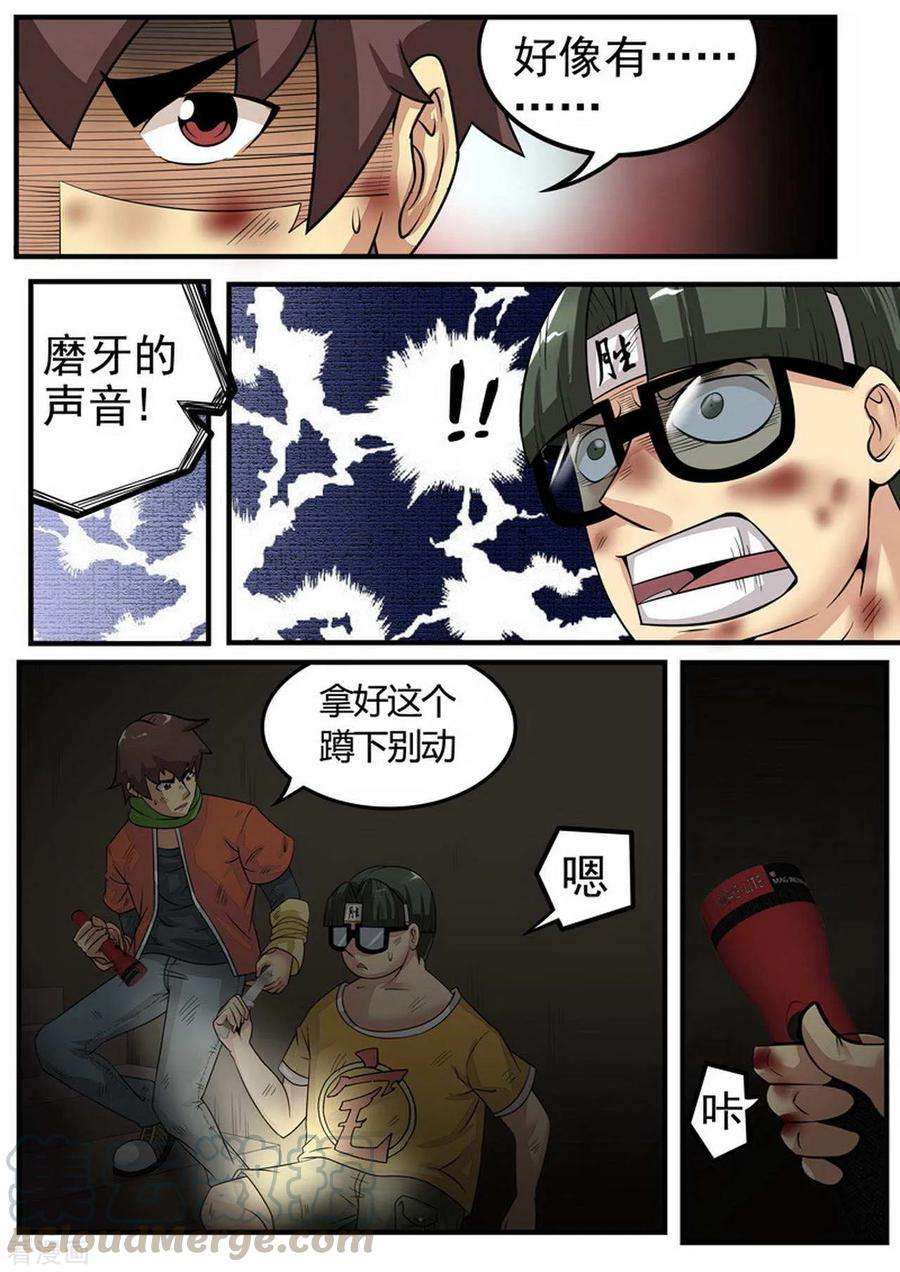 5.jpg