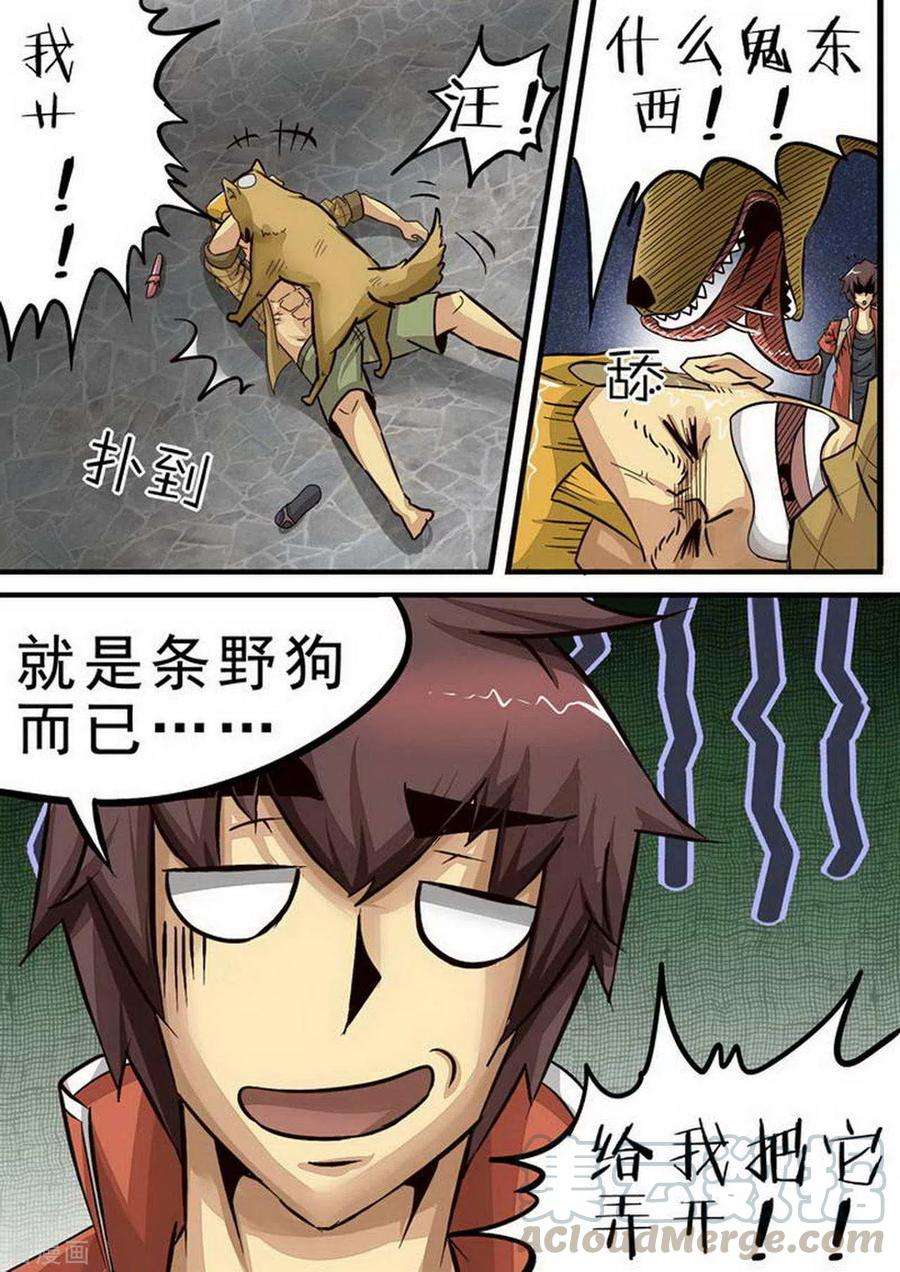 5.jpg
