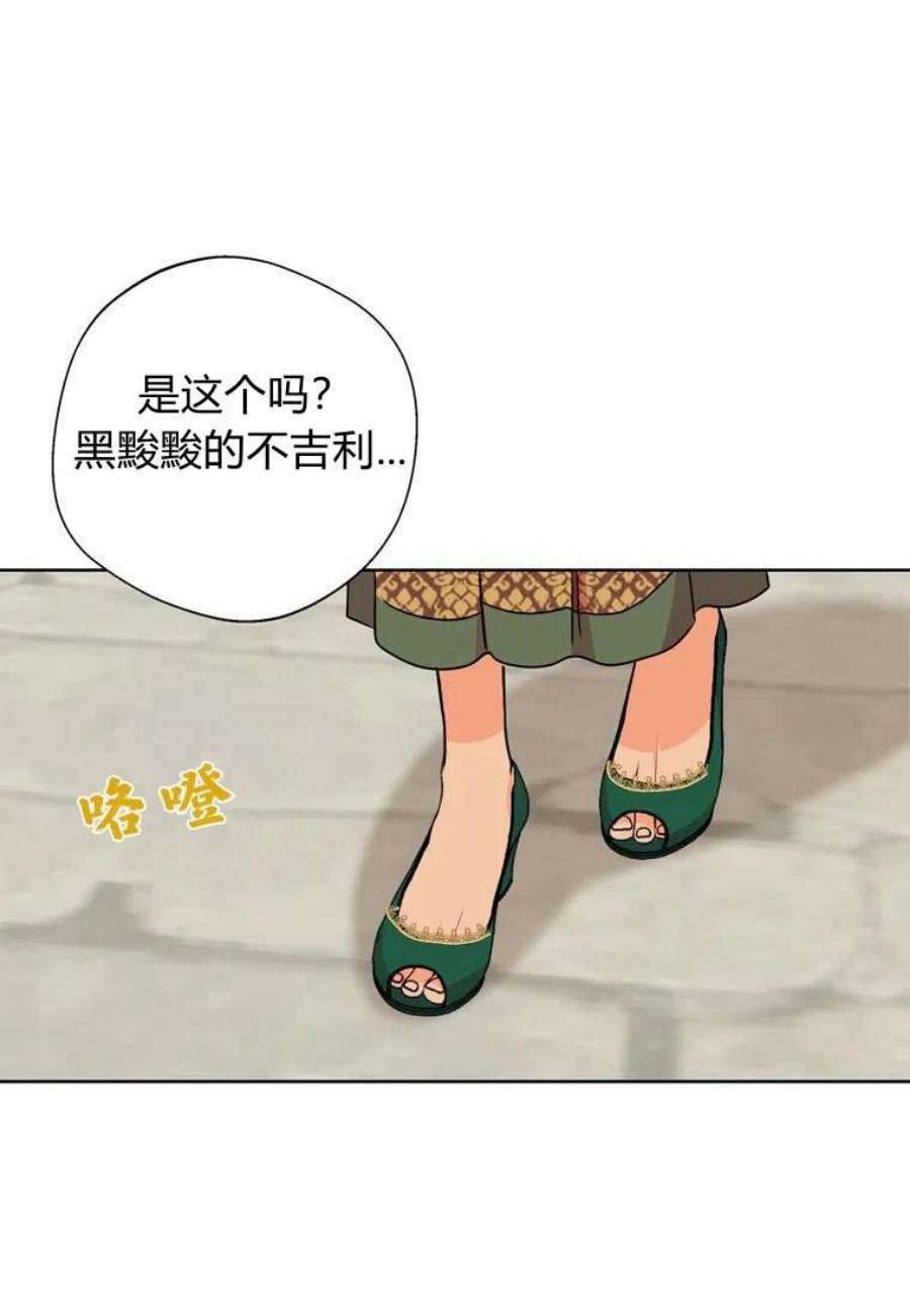 91.jpg