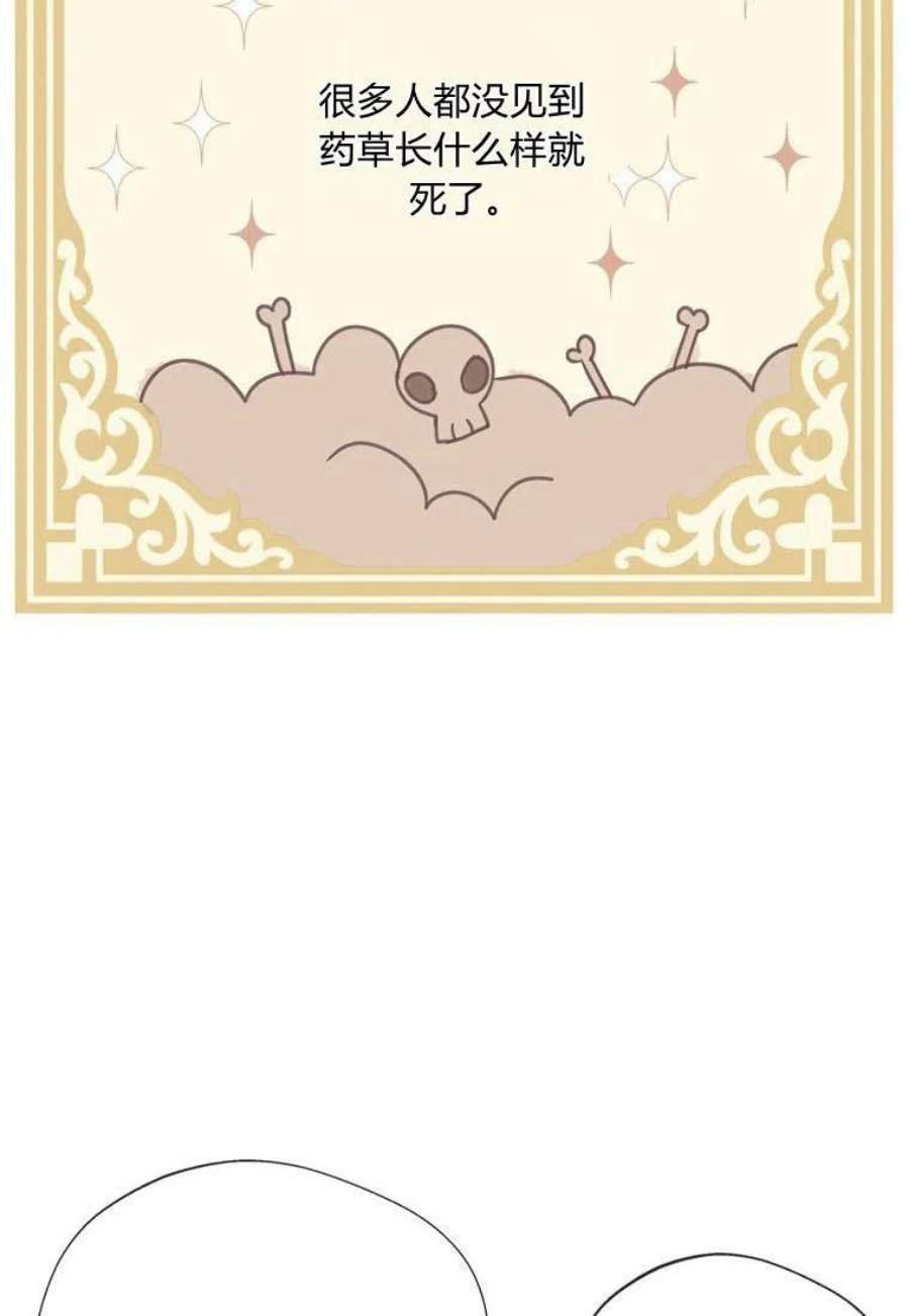 74.jpg