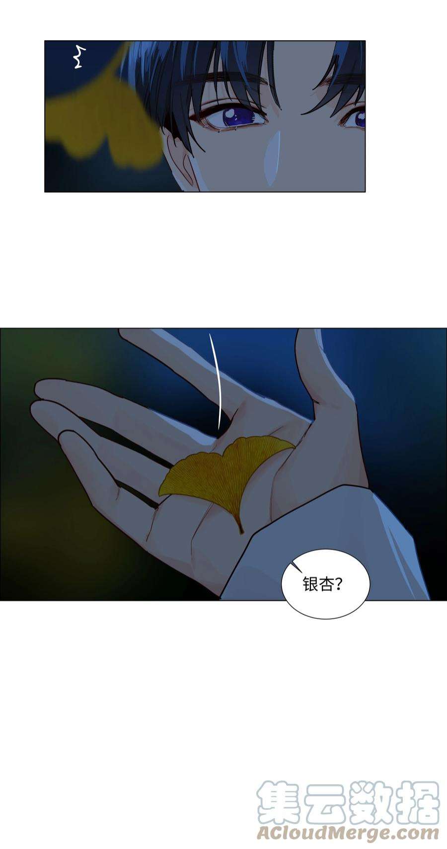 17.jpg