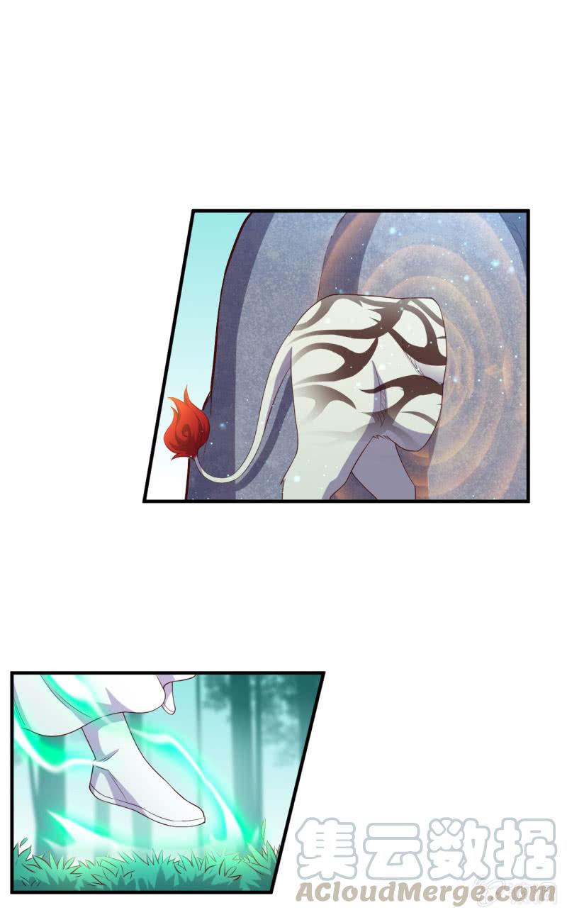 21.jpg