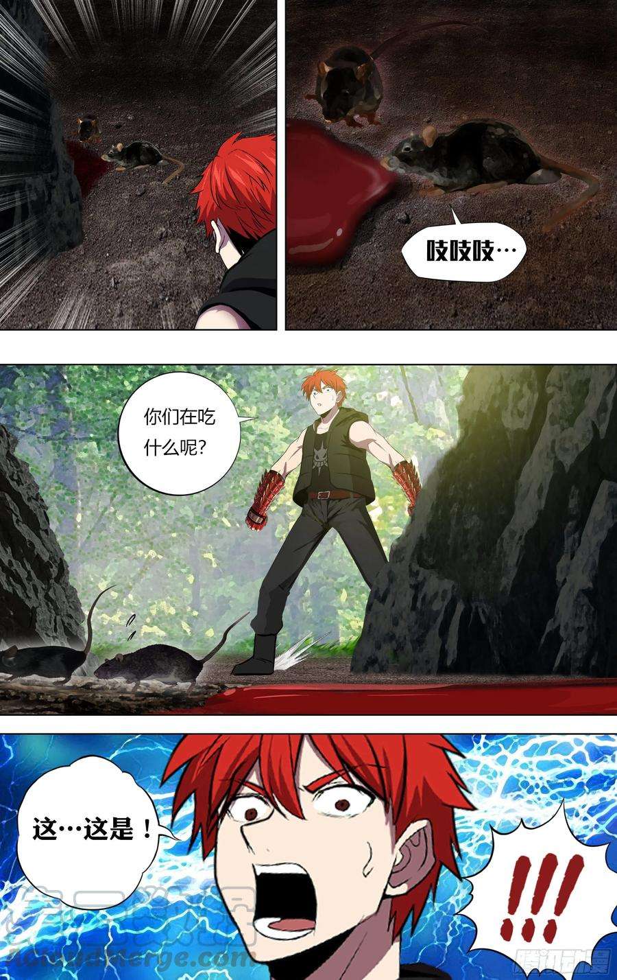 4.jpg