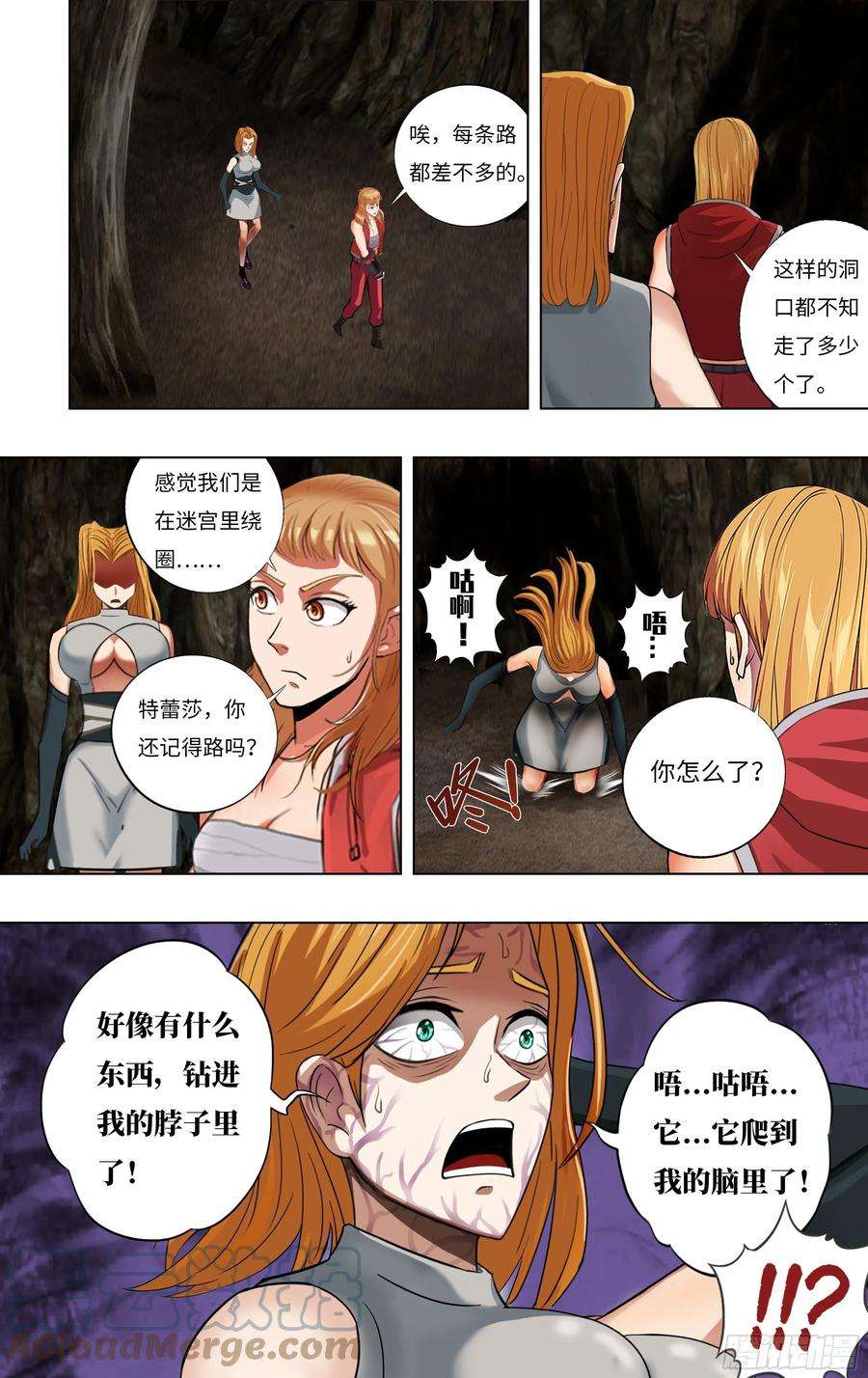5.jpg