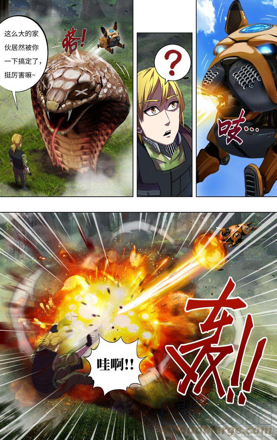 10.jpg