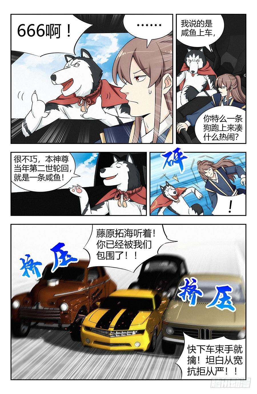 12.jpg